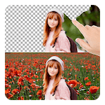 Cut Paste Photos Perfect for PC