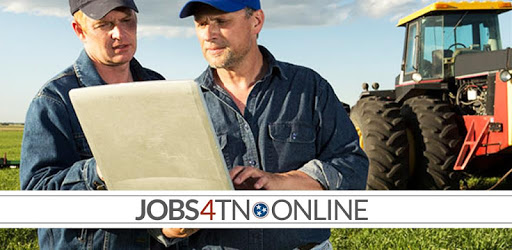 JOBS4TN PC screenshot JOBS4TN PC screenshot