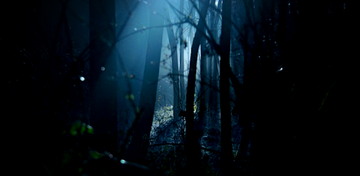 Occult Library PC screenshot Occult Library PC screenshot