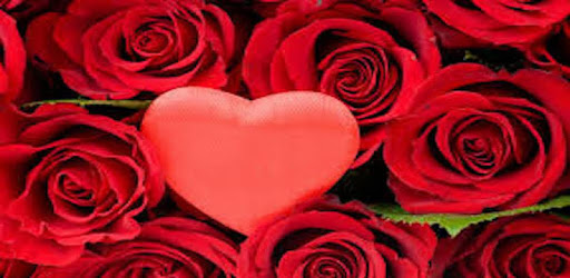 Rose GIF : Flower GIF Collection PC screenshot