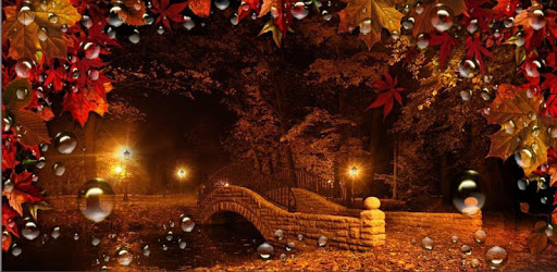 Autumn Twinkle Lights live wallpaper PC screenshot Autumn Twinkle Lights live wallpaper PC screenshot