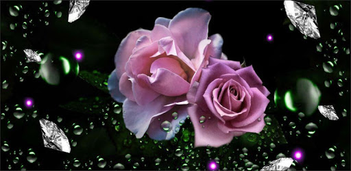 Roses Diamond Dew PC screenshot Roses Diamond Dew PC screenshot