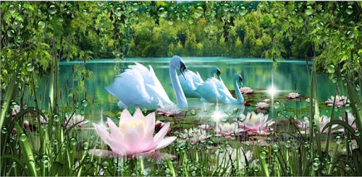 Swans and Lilies LWP PC screenshot Swans and Lilies LWP PC screenshot