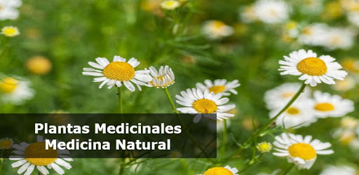 Medicinal Plants and Natural Medicine PC screenshot Medicinal Plants and Natural Medicine PC screenshot