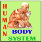 Human Body System for PC