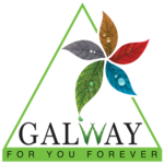 Galway icon