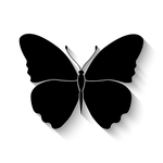 I Am Innocent icon