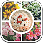Pic Collage Maker & Pic Stitch for PC Pic Collage Maker & Pic Stitch for PC