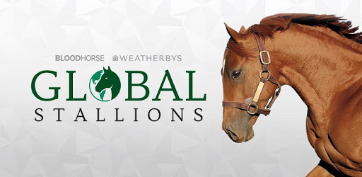 Global Stallions PC screenshot