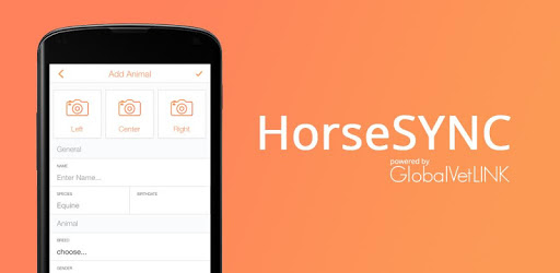 HorseSYNC PC screenshot