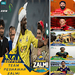 PSL Profile Picture 2018 for PC PSL Profile Picture 2018 for PC