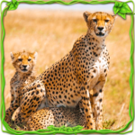 Furious Cheetah Family Simulator icon