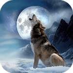 Wolf Quest Simulator game for PC