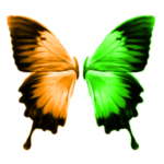 MagnetLink - DC++ support for PC