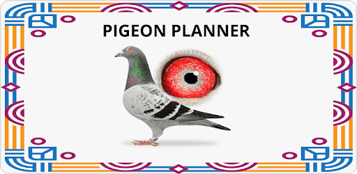 Pigeon Planner PC screenshot