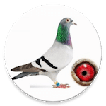 Pigeon Planner icon