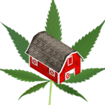Happy Weed Farm for PC Happy Weed Farm for PC
