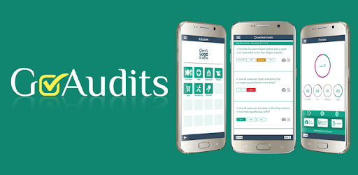 GoAudits PC screenshot