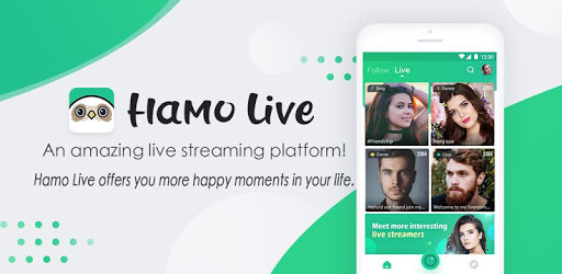 Hamo Live PC screenshot