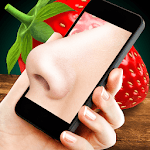 Odor analysis - sniff phone prank simulator for PC