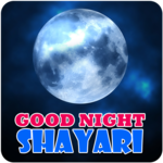 Good Night Shayari for PC