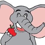 Keto Recipes - The Hungry Elephant for PC