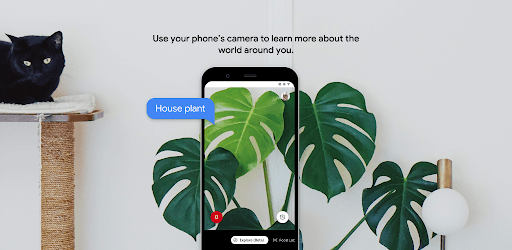 Lookout by Google PC screenshot Lookout by Google PC screenshot