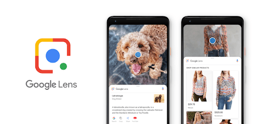 Google Lens PC screenshot