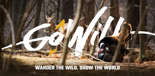 GoWild PC screenshot