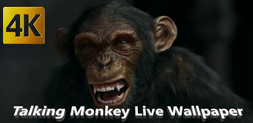 Talking Monkey Live Wallpaper PC screenshot