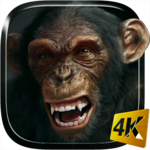 Talking Monkey Live Wallpaper for PC