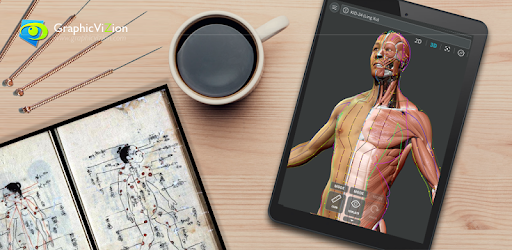 Visual Acupuncture 3D PC screenshot