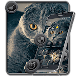 Gray Cute Cat Theme icon