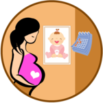 Pregnancy Tracker : Baby Stages, Calendar & Guide icon
