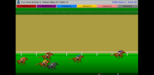 Flat Race Horse Racing PC screenshot