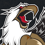 Grand Rapids Griffins Hockey icon