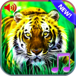 3D Animals Sounds & Wallpapers for PC 3D Animals Sounds & Wallpapers for PC