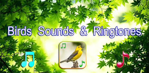 Birds Sounds Ringtones PC screenshot Birds Sounds Ringtones PC screenshot