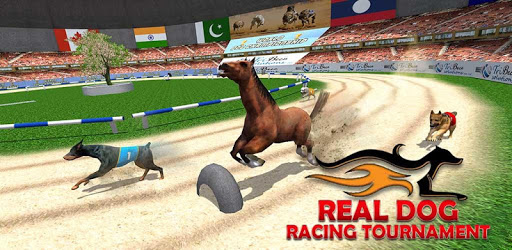 Real Dog Racing Tournament PC screenshot Real Dog Racing Tournament PC screenshot