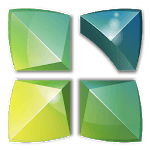 Next Launcher Polish Langpack icon