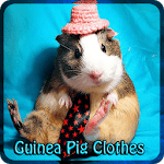 Guinea Pig Clothes for PC