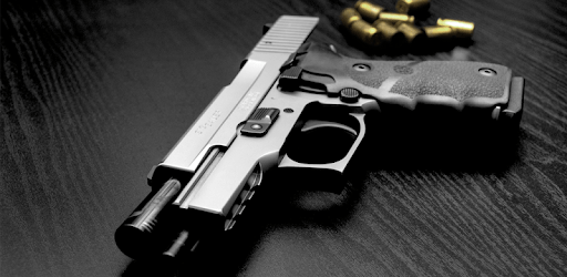 Gun Simulator FREE PC screenshot