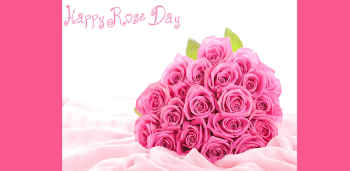 Rose Day Messages Greeting Cards and Images PC screenshot