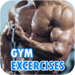 Gym Workout - Gym Exercises icon