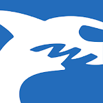 InStream Mobile - Media Player for PC