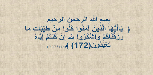 Halal Zulal PC screenshot