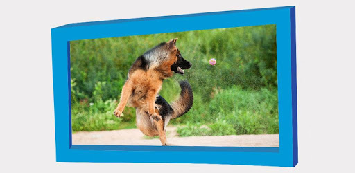 Picture Puzzle: German Shepherd Dogs PC screenshot