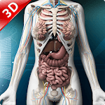 Human 3D Anatomy:Organs and Bones icon