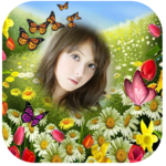 Butterfly photo frames HD Photo Editor for PC Butterfly photo frames HD Photo Editor for PC