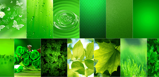 Green Wallpaper HD PC screenshot